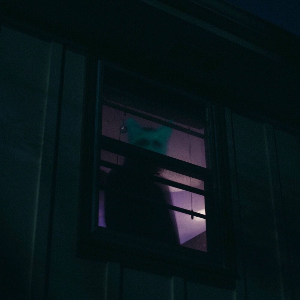 nothing is real, part VI cover