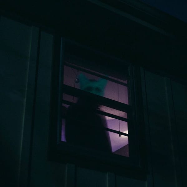 nothing is real, part VI cover