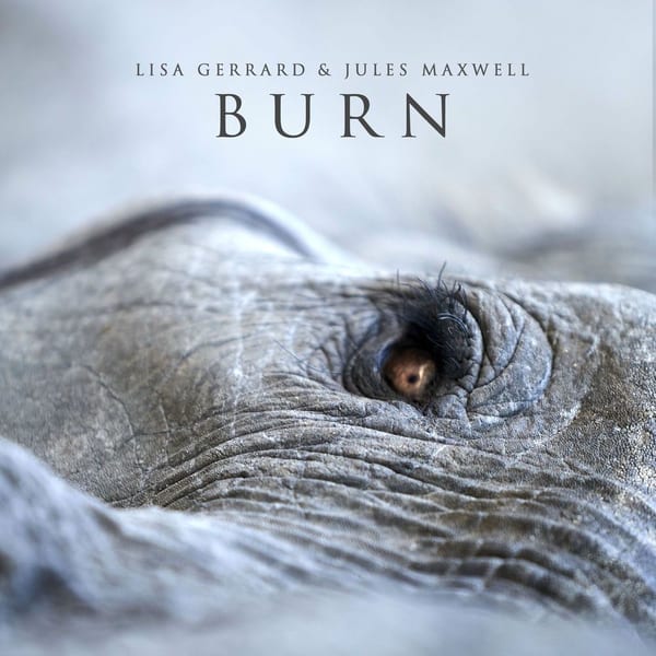 Burn cover