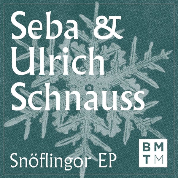 Snöflingor cover