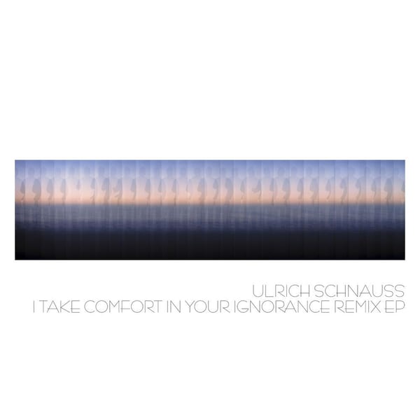 I Take Comfort in Your Ignorance cover