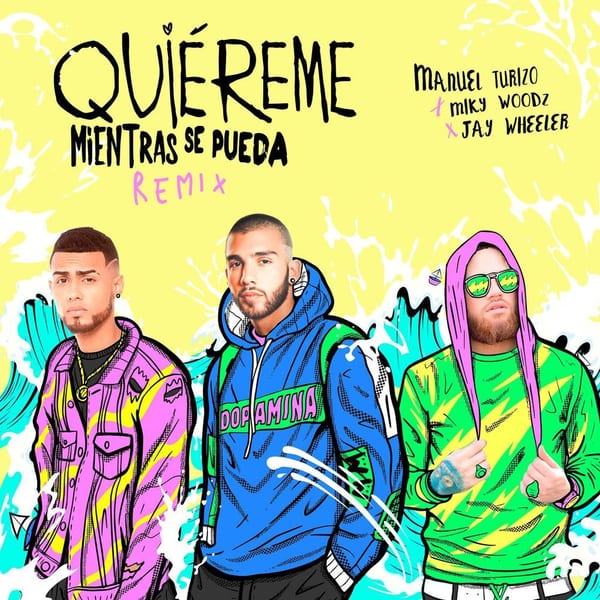 Quiereme Mientras se Pueda (Remix) cover