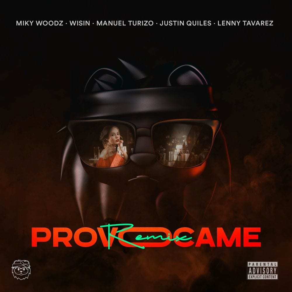 Provócame (Remix) cover