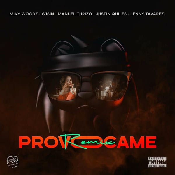 Provócame (Remix) cover