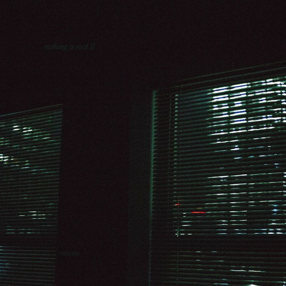 nothing is real, part II cover