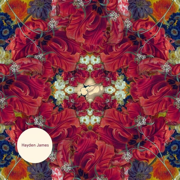Hayden James cover