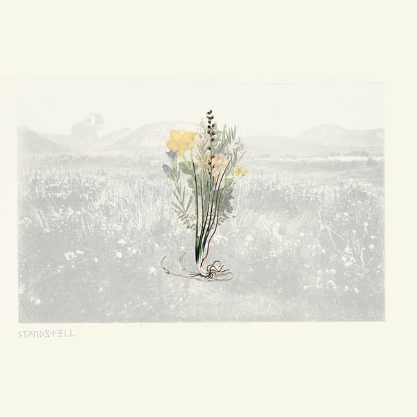 Standstill cover