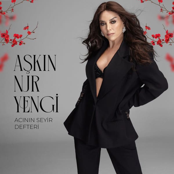 Acının Seyir Defteri album cover