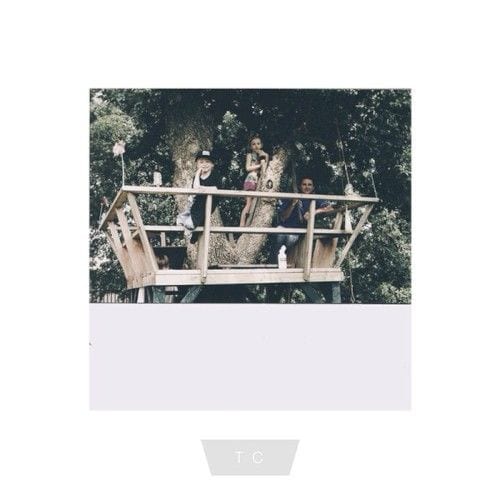 3storytreehouse cover