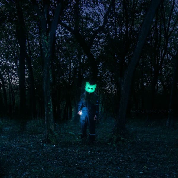 nothing is real, part XIX cover