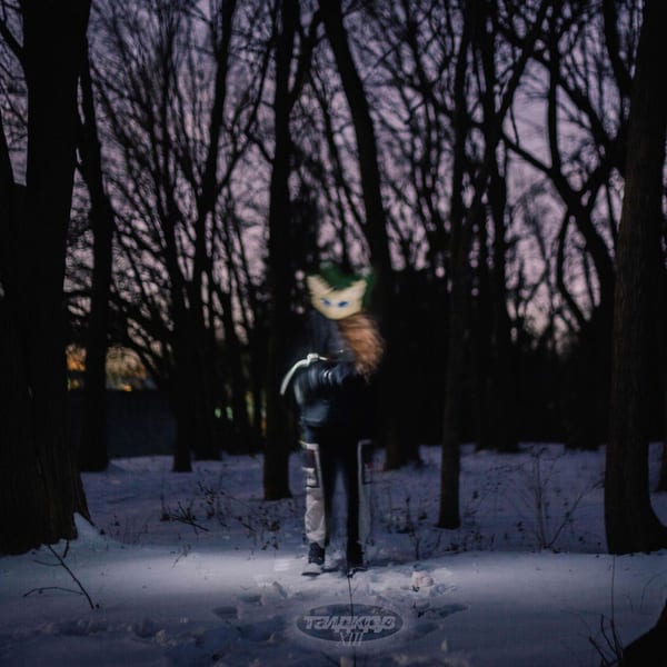 nothing is real, part XIII cover