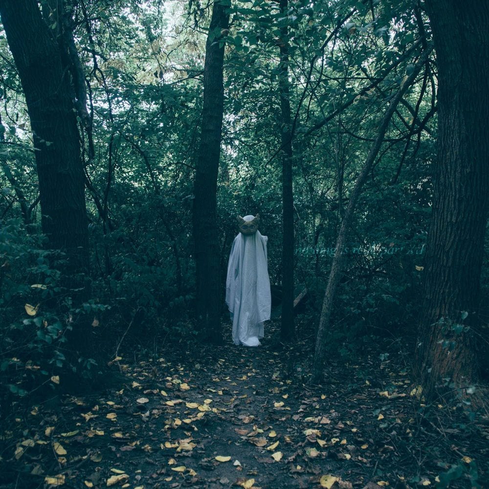 nothing is real, part XII cover