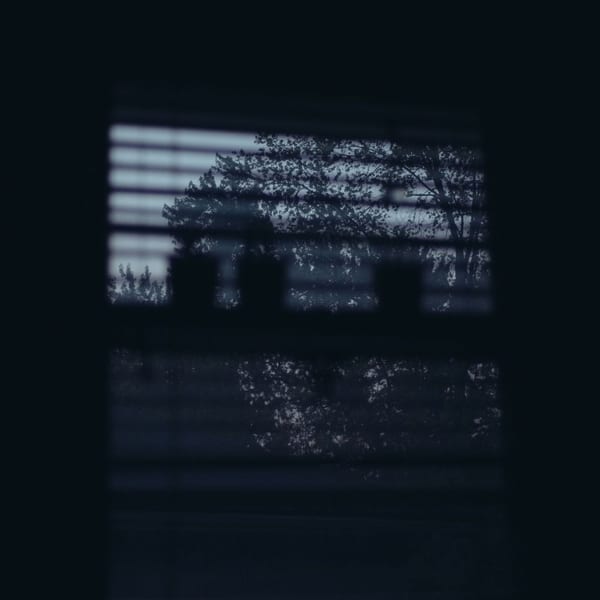 nothing is real, part V cover