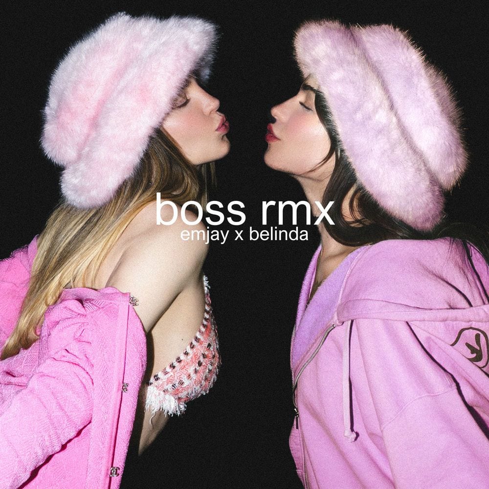boss rmx cover