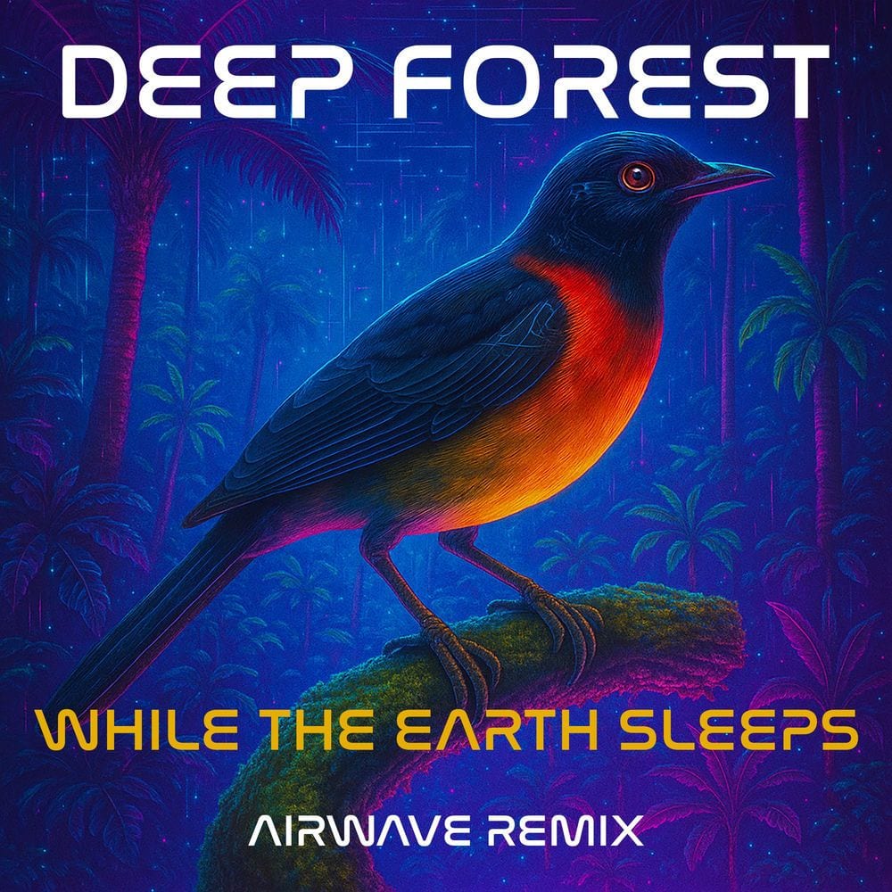 While the Earth Sleeps (Airwave Remix) cover