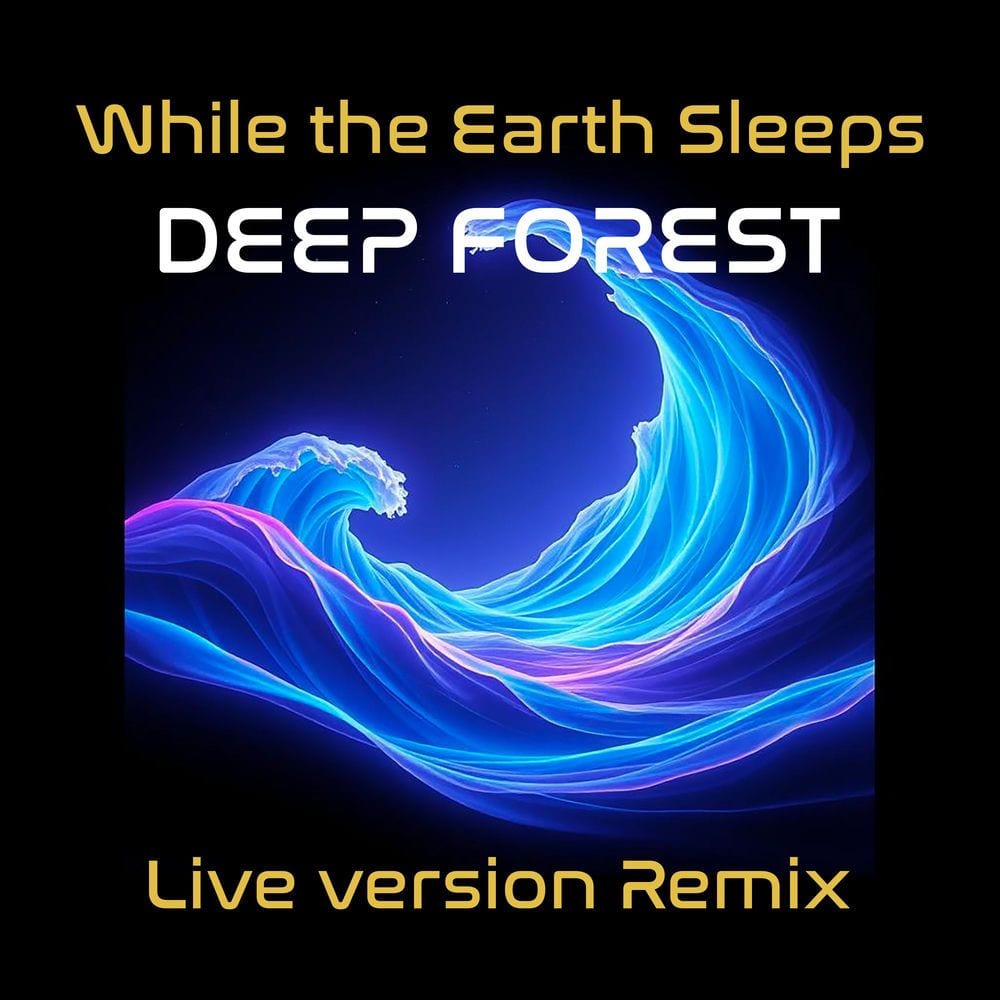 While the Earth Sleeps (Live Version Remix) cover