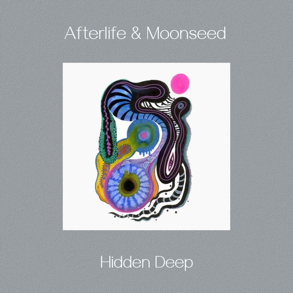 Hidden Deep cover