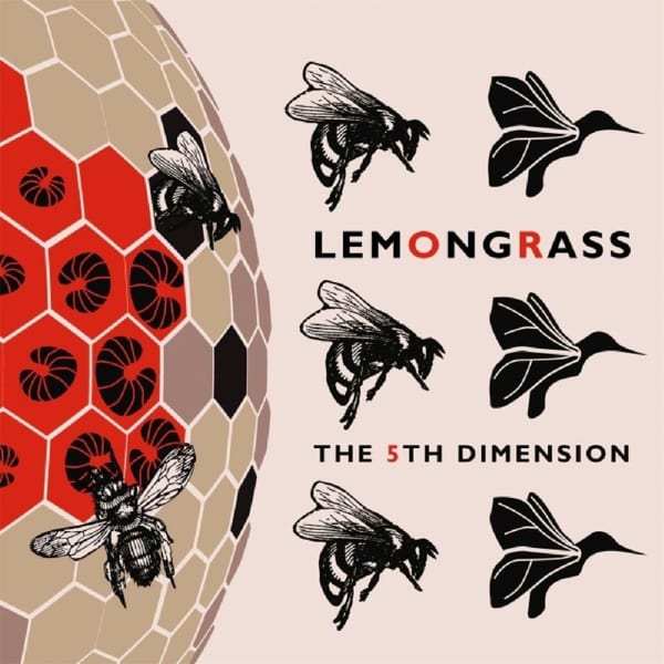 The 5th Dimension cover
