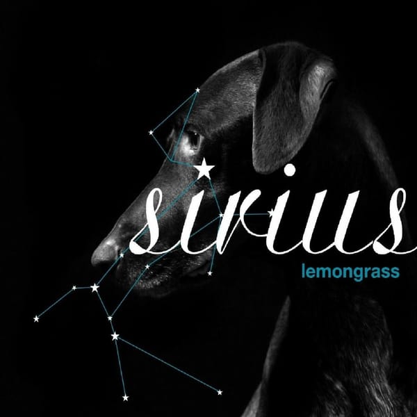 Sirius cover
