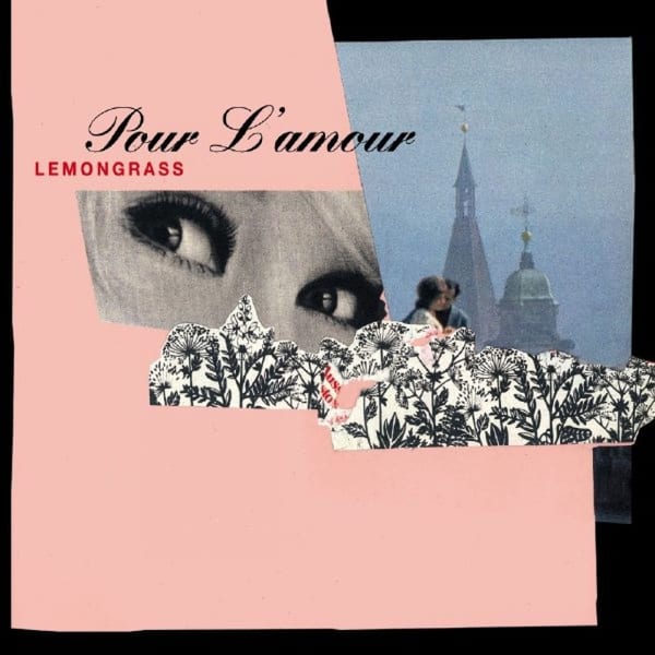 Pour l'amour cover