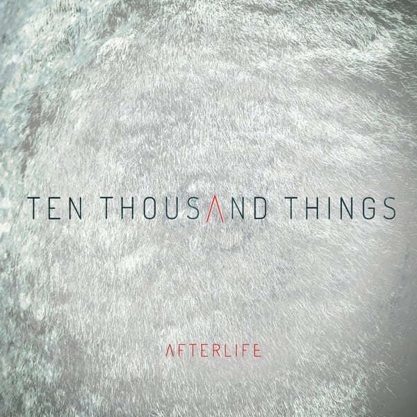 Ten Thousand Things cover