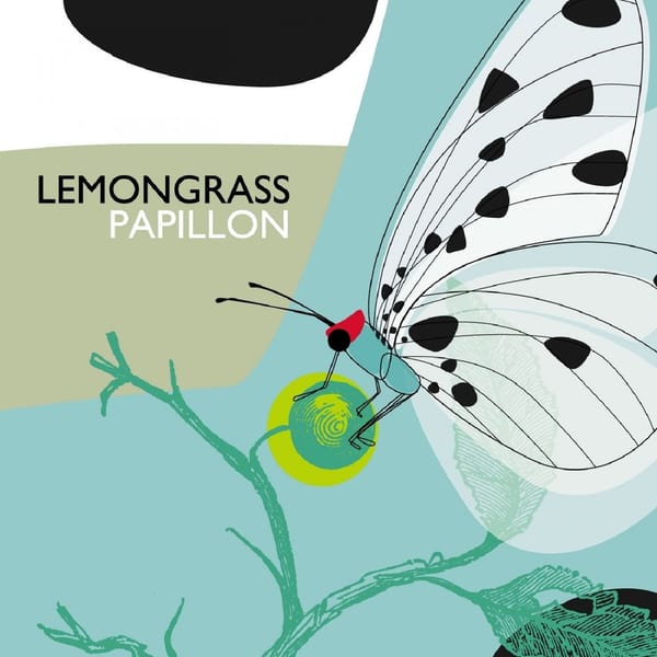 Papillon cover