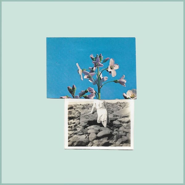 Half Light cover