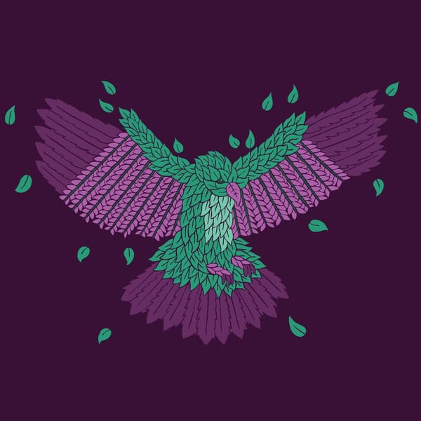 Bird's Tail (Slow Meadow Rework) cover
