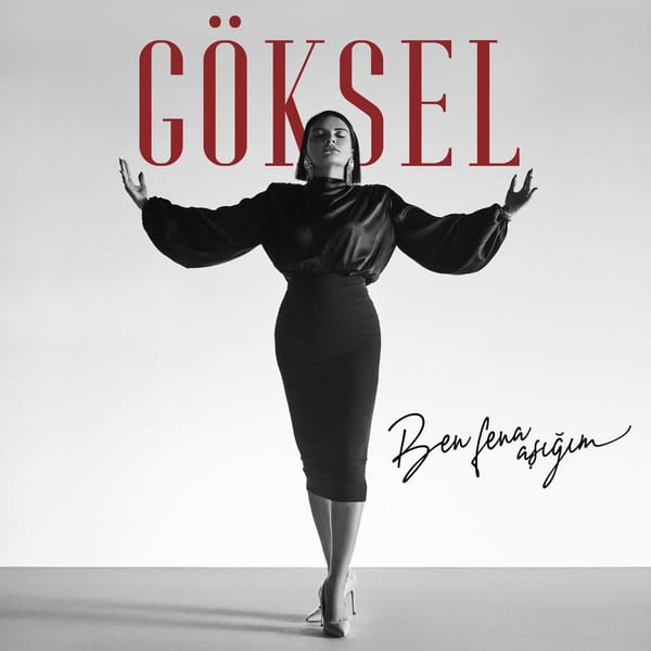 Ben Fena Aşığım cover