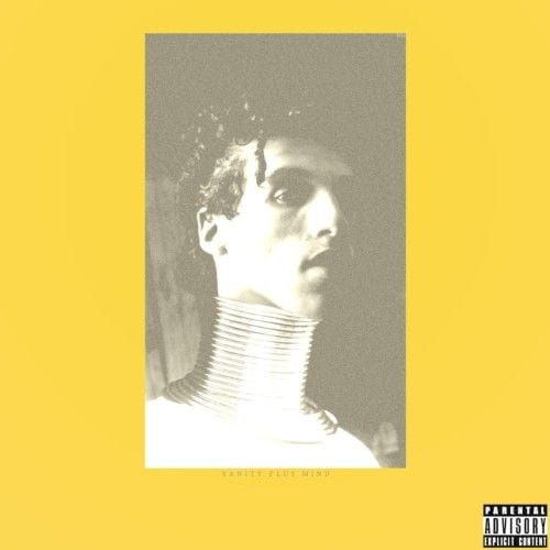 Vanity Plus Mind cover