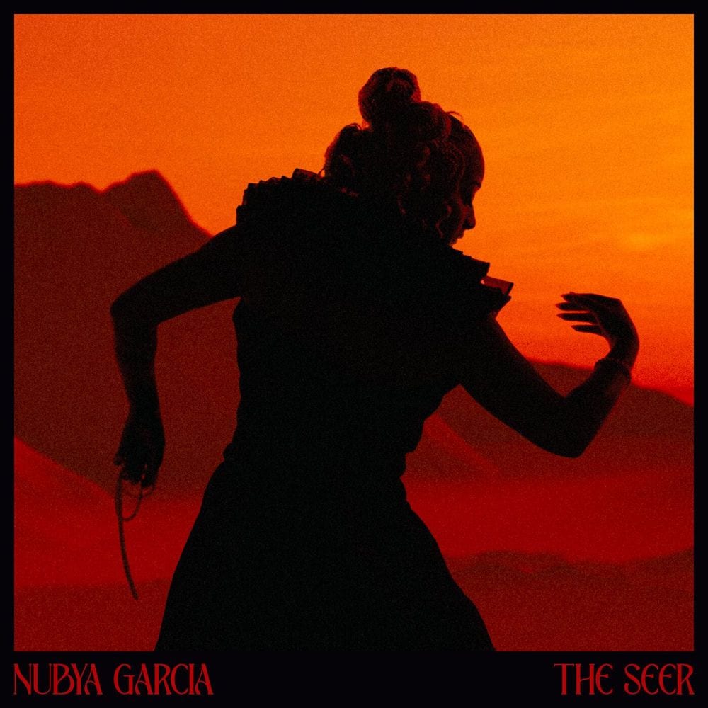 The Seer cover