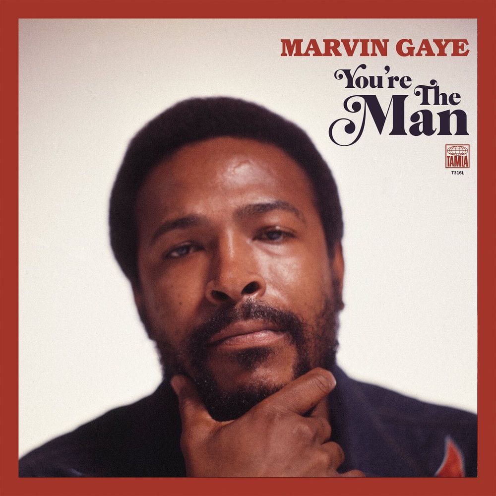 You're The Man (Expanded Edition) cover