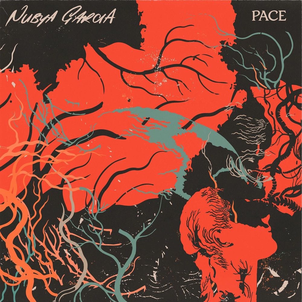 Pace cover