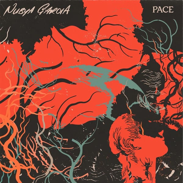 Pace cover