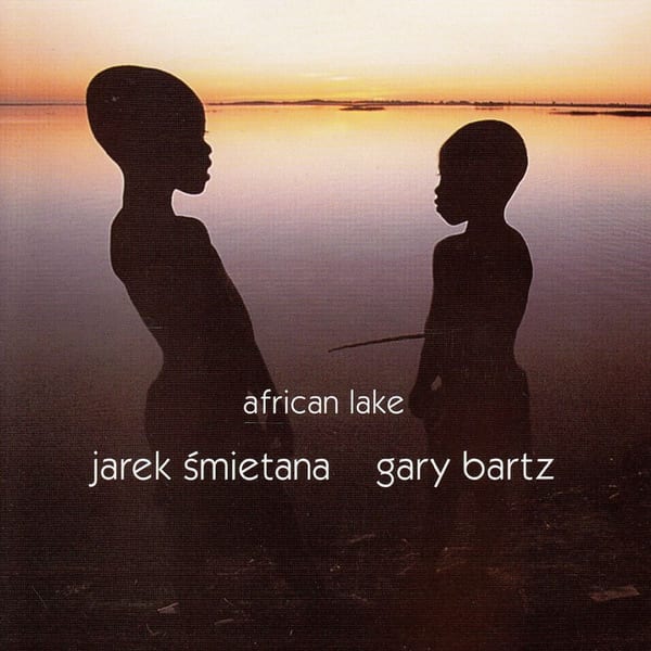 African Lake cover