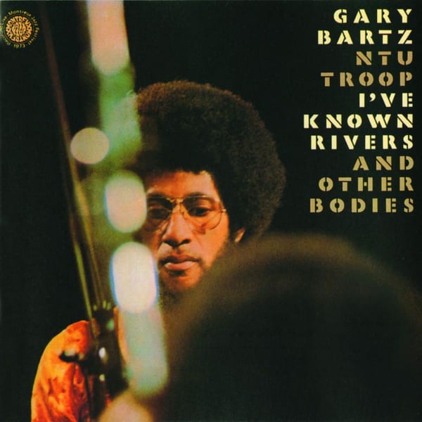 I've Known Rivers And Other Bodies cover