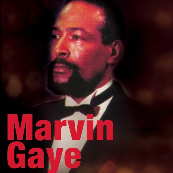 Marvin Gaye cover