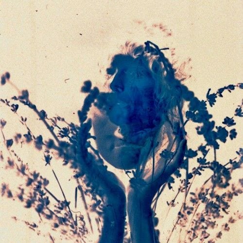 Salvador Dali (Fla.mingo remix) cover