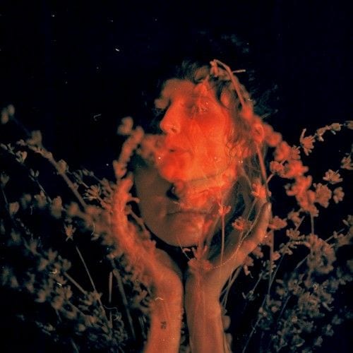 Salvador Dali cover