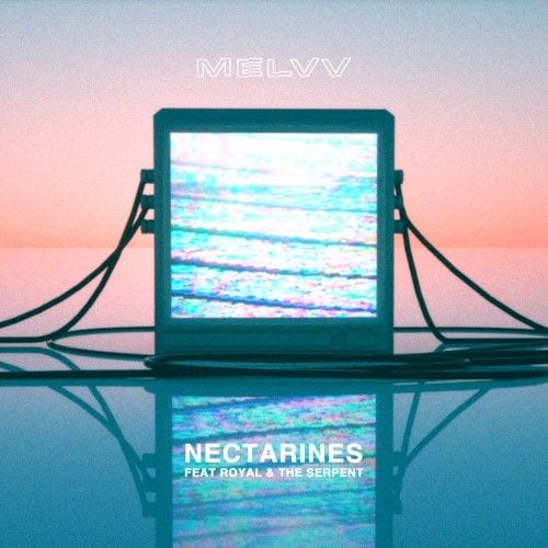 Nectarines cover