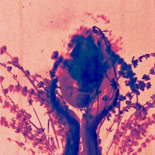 salvador dali (frumhere remix) cover