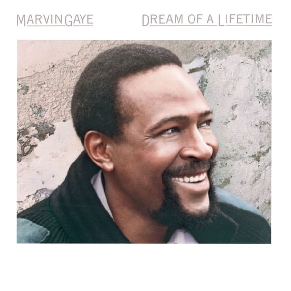 Dream Of A Lifetime cover