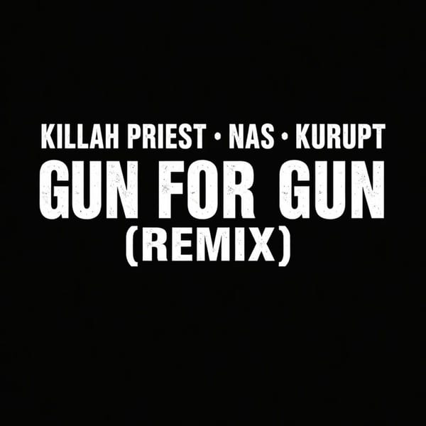 Gun For Gun (Remix) cover