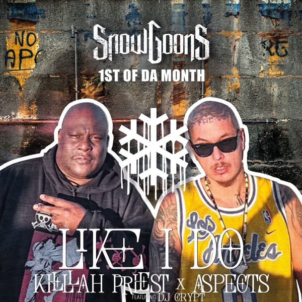 Like I Do cover