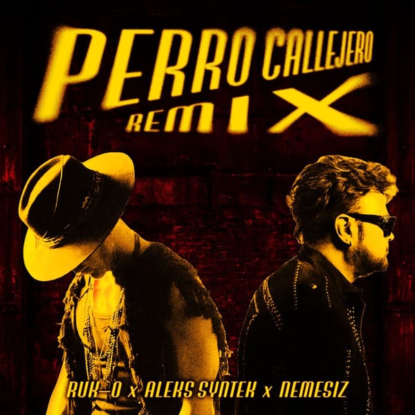 Perro Callejero (Remix) cover