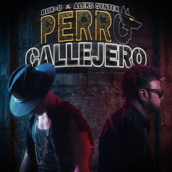 Perro Callejero cover
