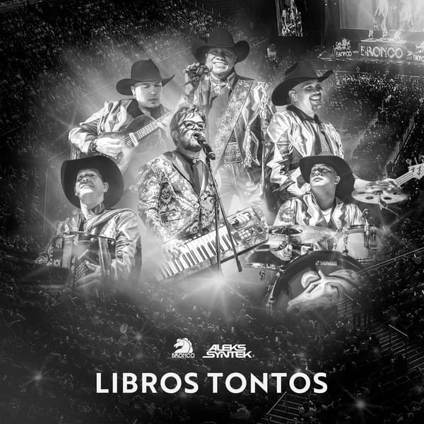 Libros Tontos (En Vivo) cover
