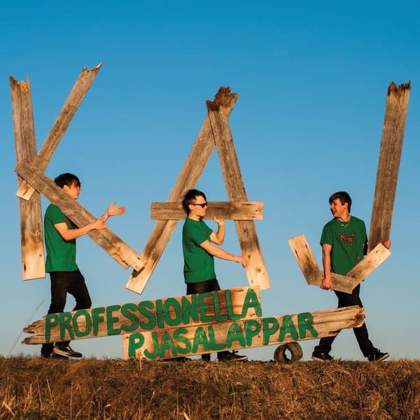 Professionella pjasalappar cover