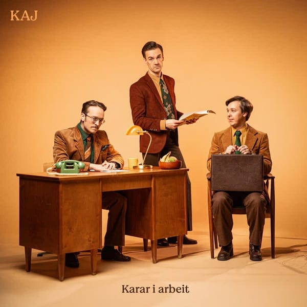 Karar i arbeit cover