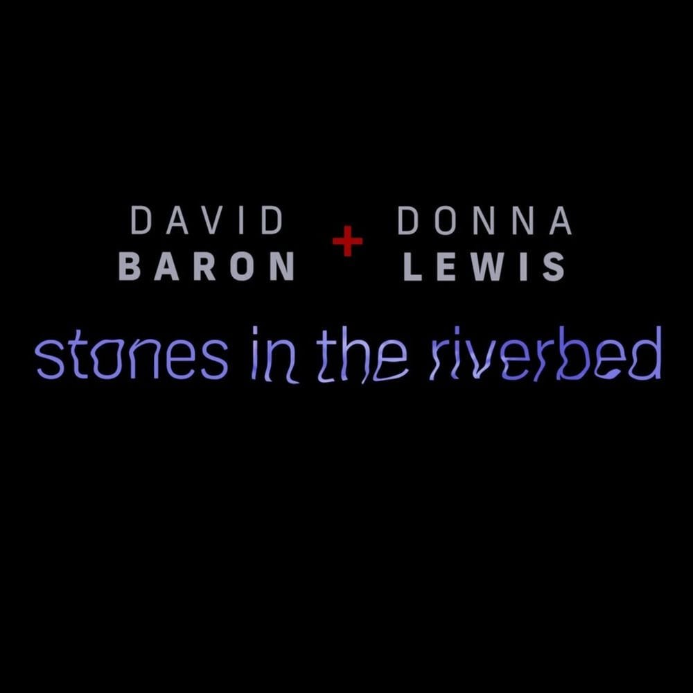 Stones in the River Bed cover
